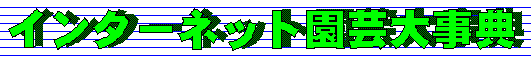 �C���^�[�l�b�g���|�厖�T