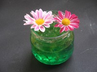 マジッククリスタルにさした星の子菊の花